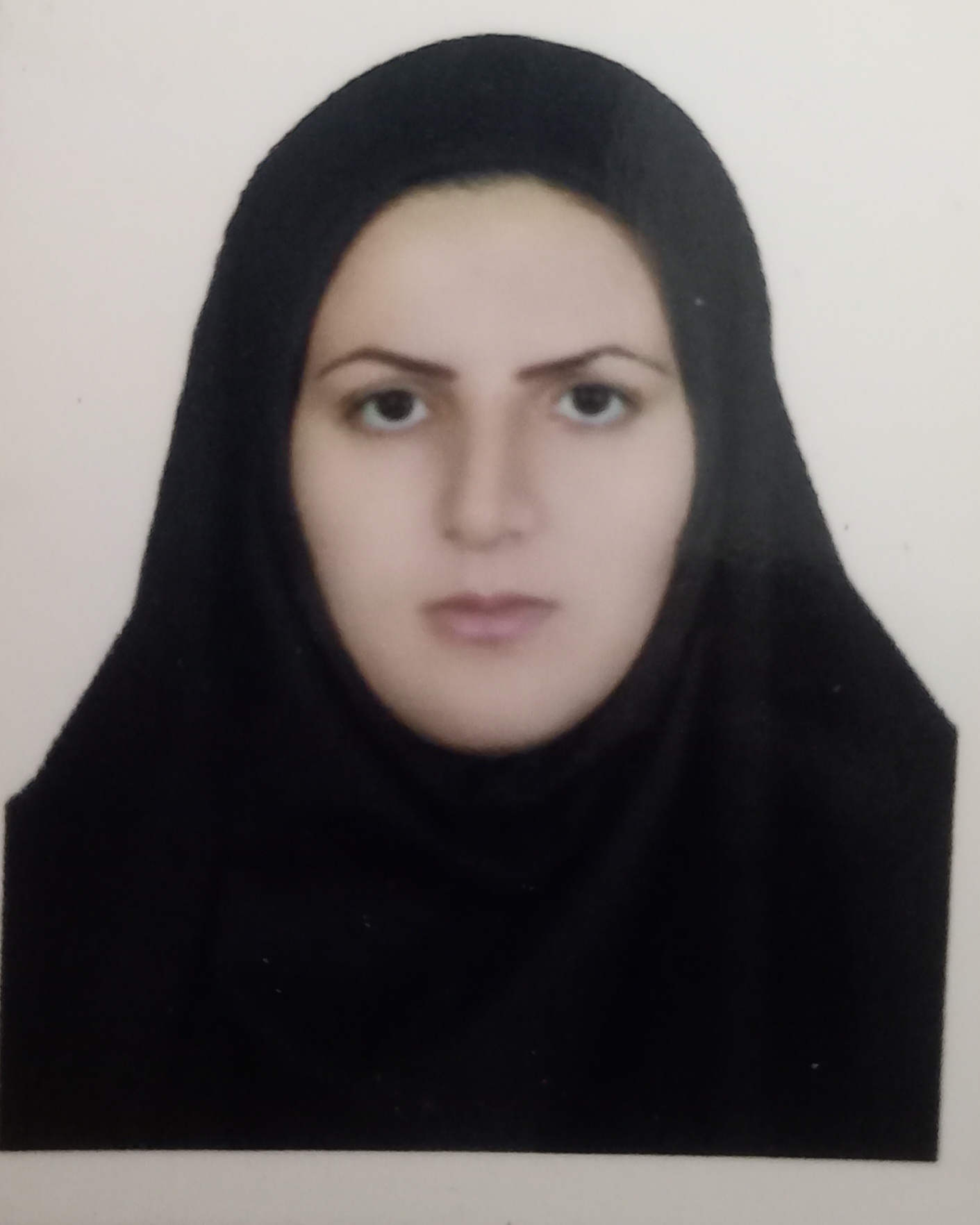 سلطانی غنچه سلطانی